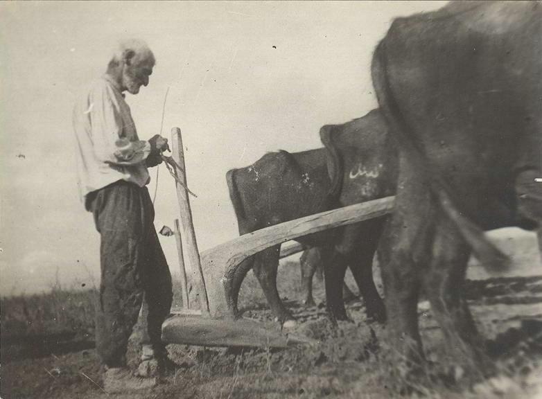 Фото 47, 1930 - 1931, Дагестанская АССР