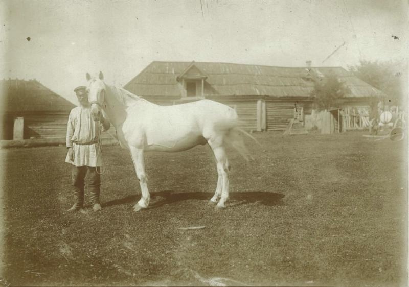 Демонстрация белой лошади, 1900-е