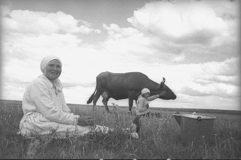 На выгуле (Доярки с коровой), 1938 год, Куйбышевская обл.. Ныне Самарская область.