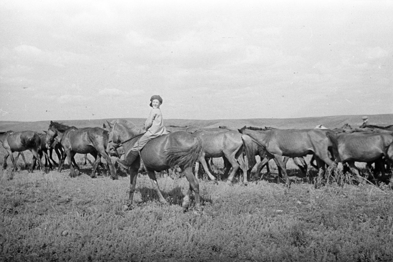 Жизнь народа во время войны, июль - август 1943, Украинская ССР. Выставка «Пастухи» с этой фотографией.&nbsp;