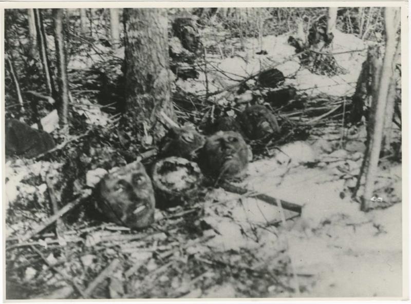Жертвы фашизма, 1944 год, Брянская обл.