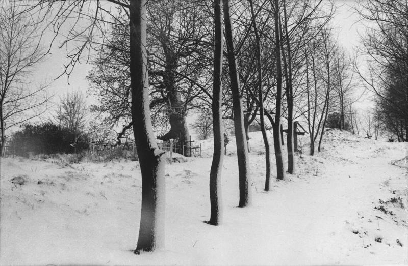 Деревенское кладбище, 1982 - 1983, Украинская ССР, Черниговская обл., пгт. Седнев