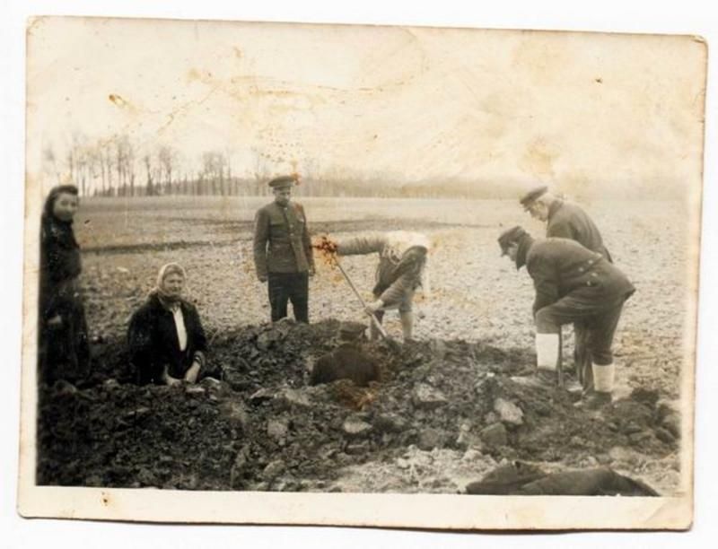 Первое воспоминание. Переселенцы в Кенигсберг. Русские переселенцы в Кенигсберг. Переселенцы в восточную Пруссию. Переселение русских в Калининград.