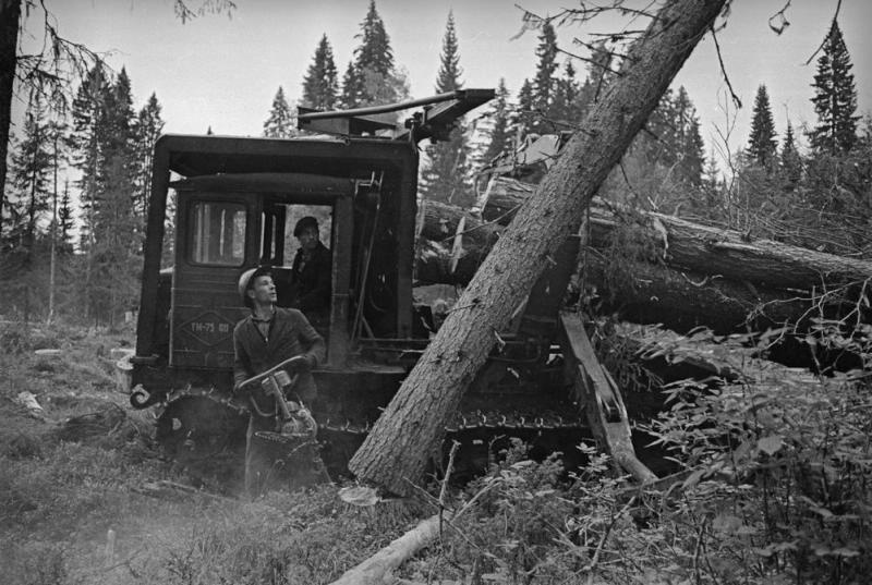 Заготовка леса, 1965 год, Архангельская обл.. Выставка «Рабочий класс. Мужчины» с этой фотографией.&nbsp;