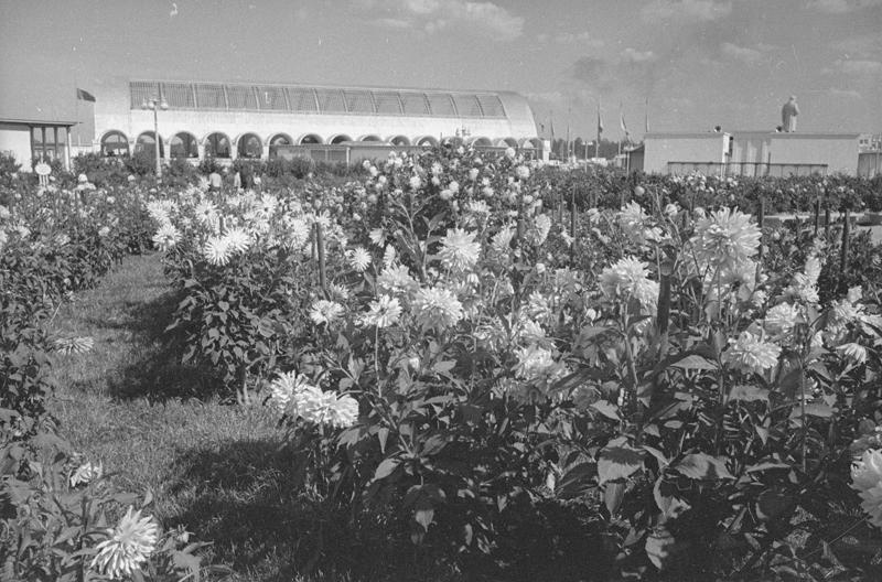 ВСХВ. Цветник около павильона «Пчеловодство», 1939 год, г. Москва. Выставка «Пчелы и ульи» с этой фотографией.&nbsp;