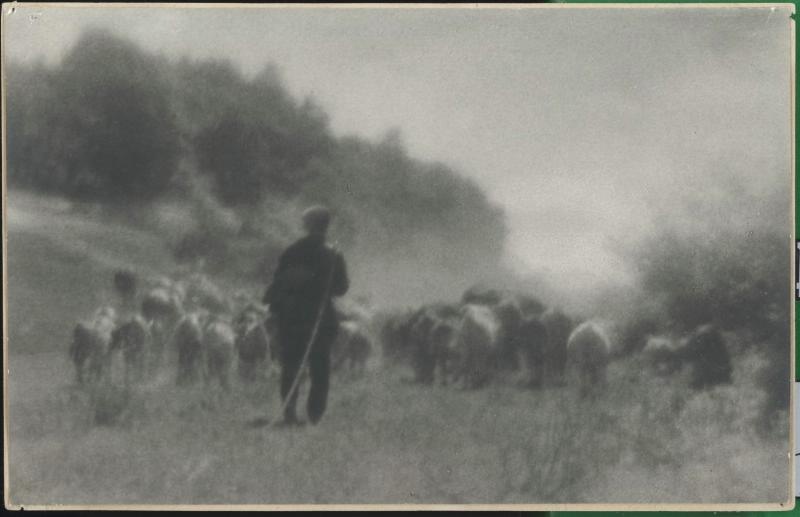 Стадо и пастух, 1920-е