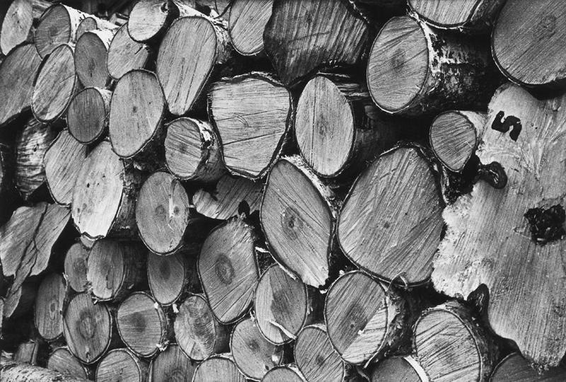 Березовые дрова, 1989 год, г. Тюмень