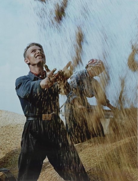 «Демобилизовался!», 1960 год, Краснодарский край, совхоз «Газырский». Из серии «Сельскохозяйственные работы на юге России».Видео «Сельское хозяйство» с этой фотографией.