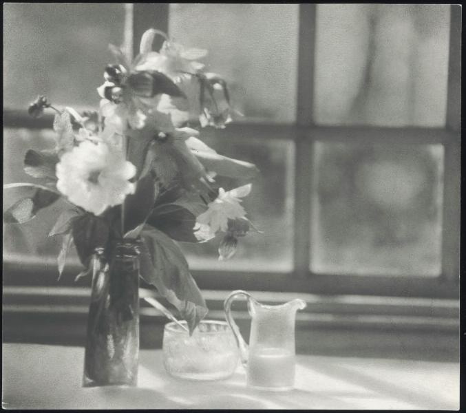 «Contre-jour», 1920-е. Видео «К 180-летию фотографии. Эпизод IX: "Русское фотографическое общество"» с этим снимком.&nbsp;