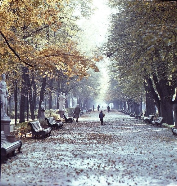 Аллея в Летнем саду, 1950 - 1969, г. Ленинград. Выставка «Золотой октябрь» с этой фотографией.