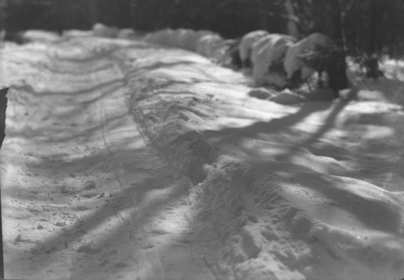 Тени на снегу, 1920-е
