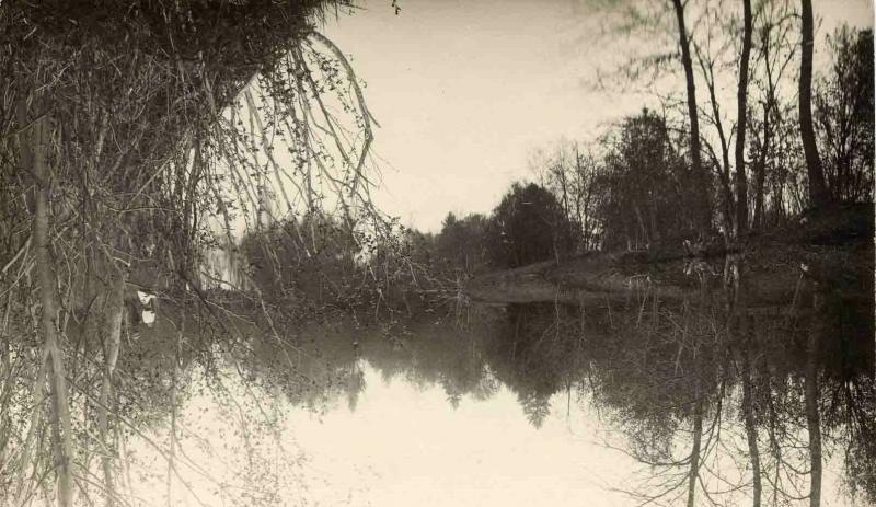 Лесная речка, 1910-е