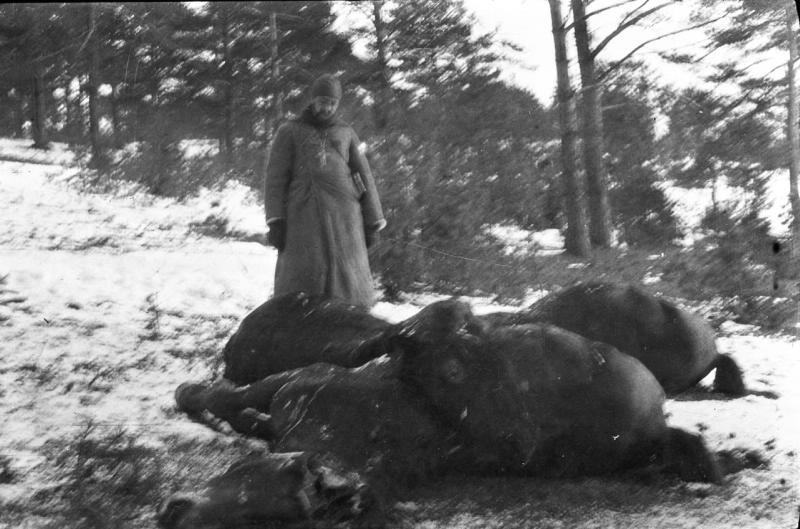 Священник около трупов лошадей, 1914 - 1918