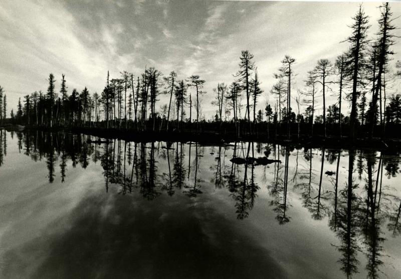 Самотлор, 1968 год, Тюменская обл.. Выставки&nbsp;«Россия целиком» и «Лес» с этой фотографией.