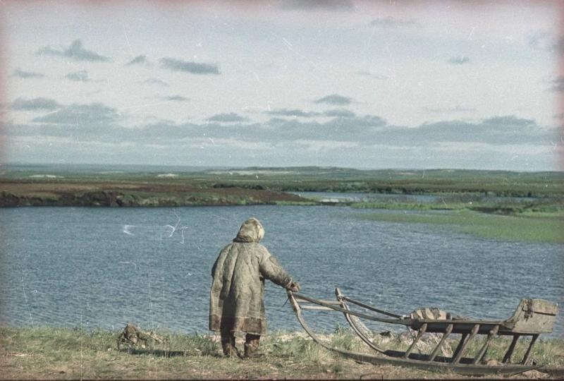 Ненец около нарт на берегу водоема, 1965 год, Архангельская обл., Ненецкий НО. Из серии «Край земли. Ненцы».В 1977 году Ненецкий национальный округ был переименован в Ненецкий автономный округ. 