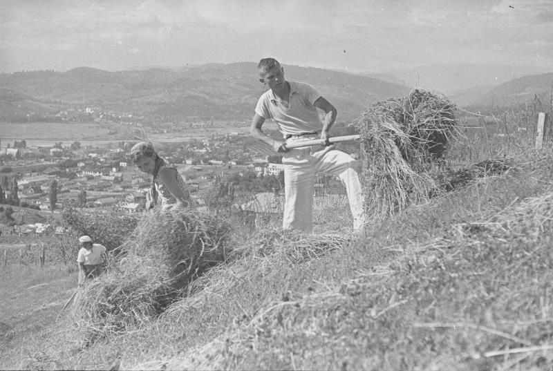 Комсомольцы на уборке сена, 1936 год, г. Сочи