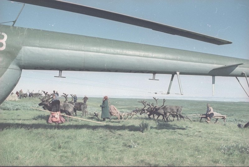 Фото Женщины с оленьими упряжками у вертолета, 1965 год