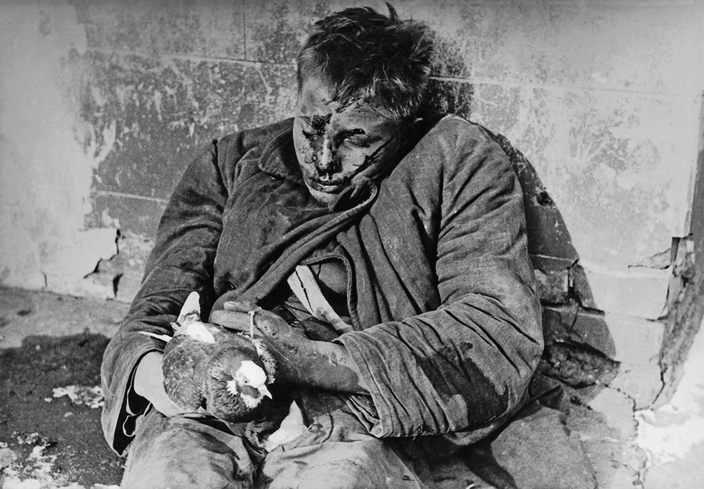 Витя Черевичкин, 28 ноября 1941, г. Ростов-на-Дону. Расстрел мирного населения немецкими войсками перед отступлением. 22 ноября 1941 года немецким командованием был издан приказ об уничтожении голубей в районах города Ростова. Виктор Черевичкин в течение недели скрывал имевшихся у него птиц. 28 ноября 1941 года немцы застали подростка выпускающим нескольких голубей у здания, в котором размещался штаб, и обнаружили в сарае во дворе его дома голубятню. После допросов и пыток схваченного подростка обвинили в пособничестве Красной Армии, вывели в парк имени Фрунзе и расстреляли.Видео «Евгений Халдей» и «Дети Великой Отечественной» с этой фотографией.