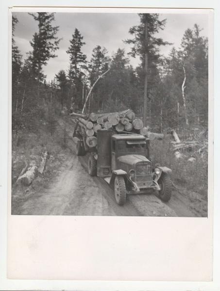 Вывозка леса в Козыревском леспромхозе на Камчатке, 1970-е, Камчатская обл.