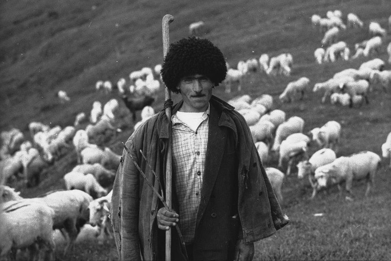 Чабан с отарой, 1960-е, Армянская ССР. Выставка «Пастухи» с этой фотографией.&nbsp;
