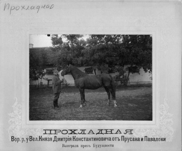 Кобыла Прохладная, 1900 - 1910