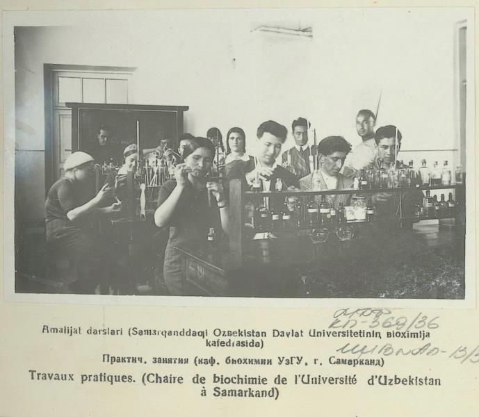 Практические занятия (кафедра биохимии УЗГУ, г. Самарканд), 1935 год, Узбекская ССР, Самарканд