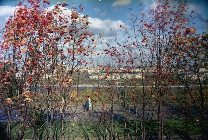 Большая спортивная арена в Лужниках осенью, 1968 - 1973, г. Москва. Видео «Осень!» с этой фотографией.&nbsp;