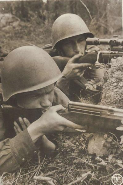 Действующая Красная Армия, 1941 год