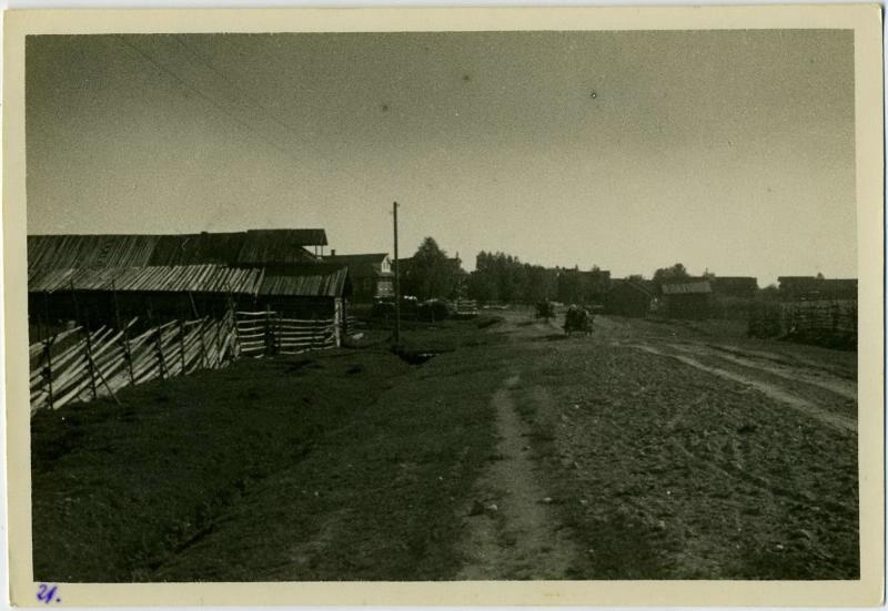 Деревня Звягино, 1920-е, Вологодская губ., дер. Звягино