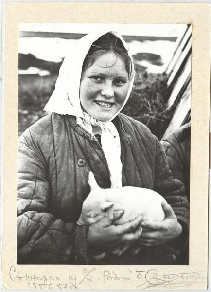 «Свинарка из совхоза "Родина"», 1956 - 1957, совхоза «Родина». Выставка «Двойной портрет: человек и природа» с этой фотографией.&nbsp;