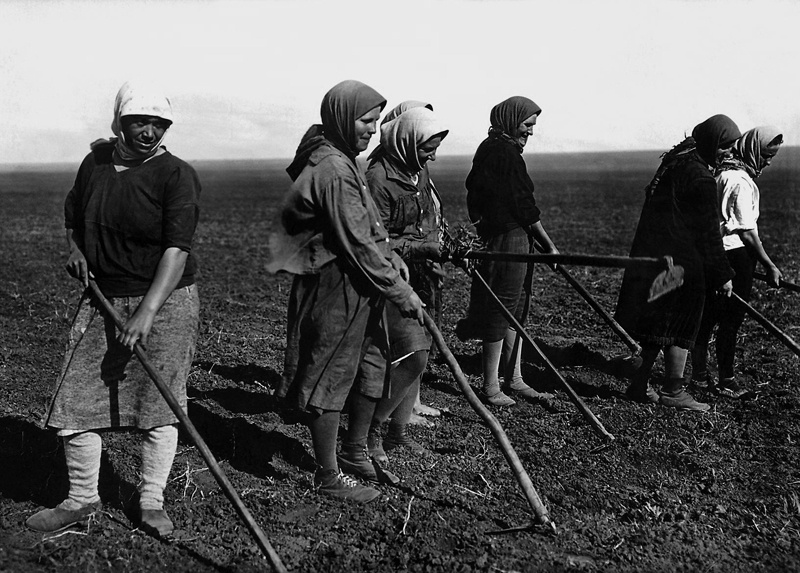 Крестьянки в поле, 1927 - 1929. Выставка «Великий перелом» с этой фотографией.
