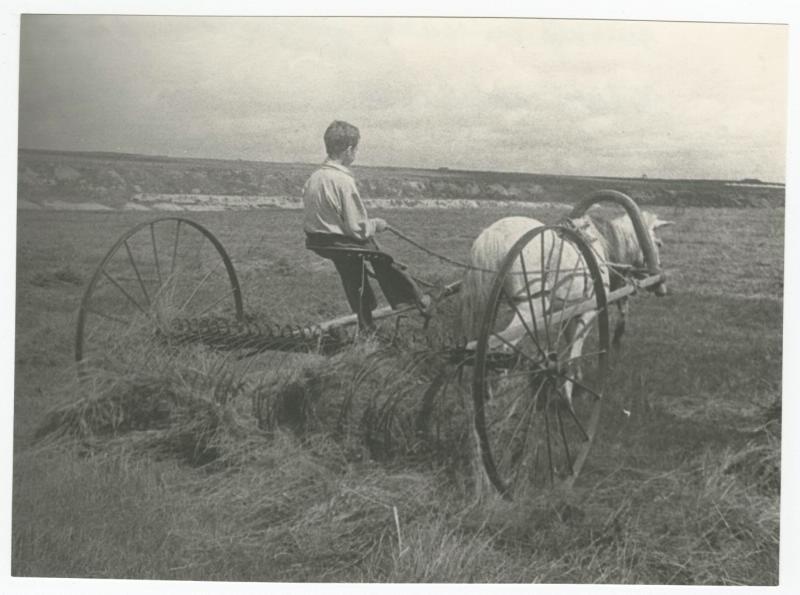 Пионер Ваня Подкатнов работает в поле, 1942 год. Выставка «Будь готов!» с этой фотографией.