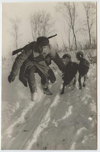 Первый Украинский фронт. За ранеными, 1943 - 1944