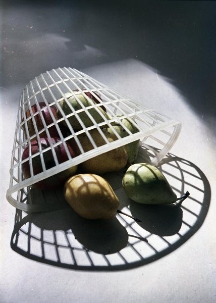 Груши в пластиковой корзинке, 1955 - 1965. Выставка «Food фотография» с этим снимком.