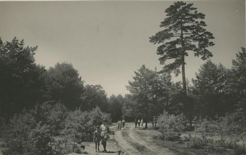 Дорога к санаторию «КурУпра», 1936 год, Украинская ССР, г. Черкассы, Сосновка