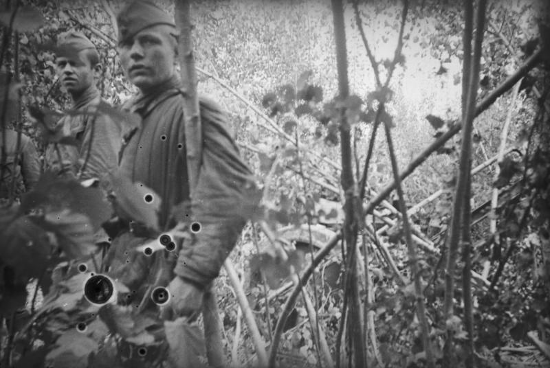 Два юных солдата в лесу, 1941 год, Московская обл.