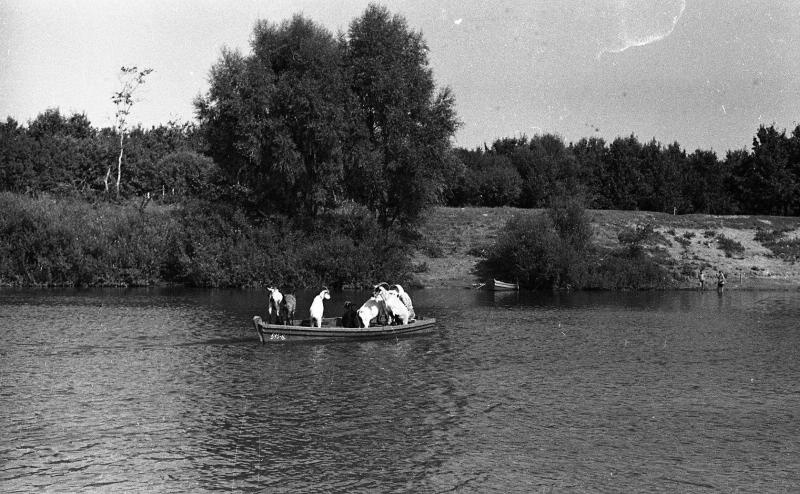 Сценки на реке, 1960-е