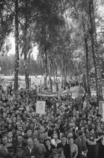 Митинг на могиле Юрия Федьковича, 2 августа 1940 - 31 декабря 1940, Молдавская ССР, Северная Буковина, г. Черновицы