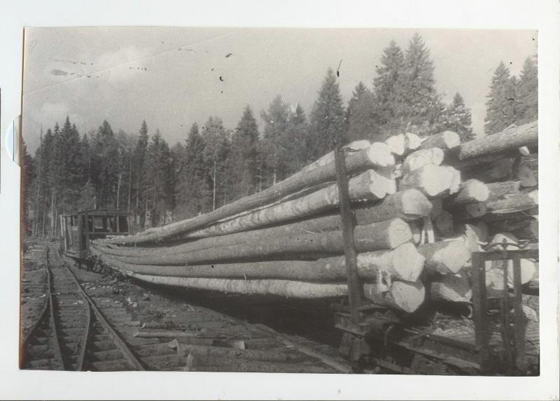 Транспортировка леса, 1970-е, Шалинское
