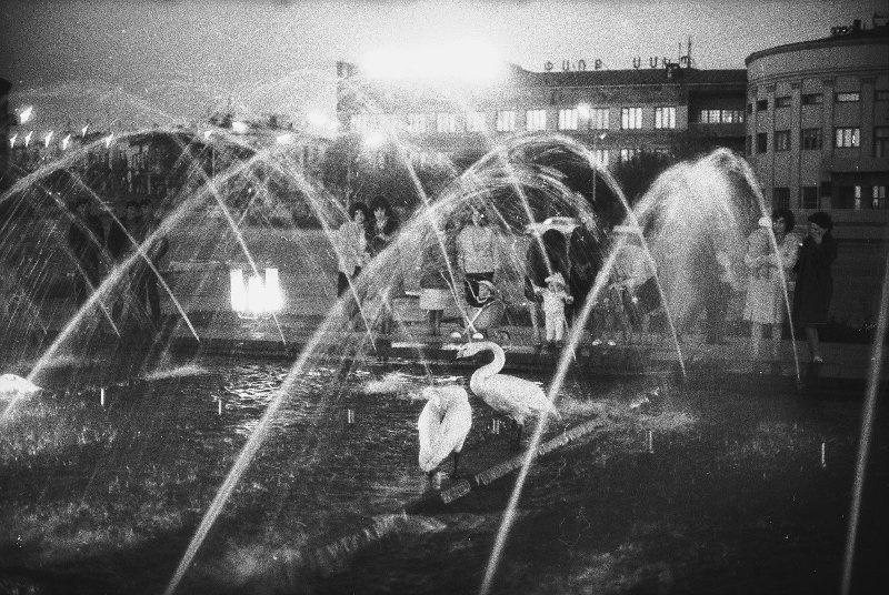 Люди и лебеди около фонтана ночью, 1960-е, Армянская ССР, г. Ленинакан. Выставка «Лебединая песня» с этой фотографией. 