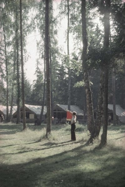 «Пионерское лето», 1951 год