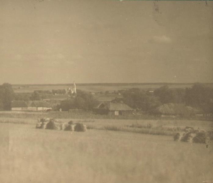 Сельский пейзаж, 1925 год, Московская губ., дер. Лужки