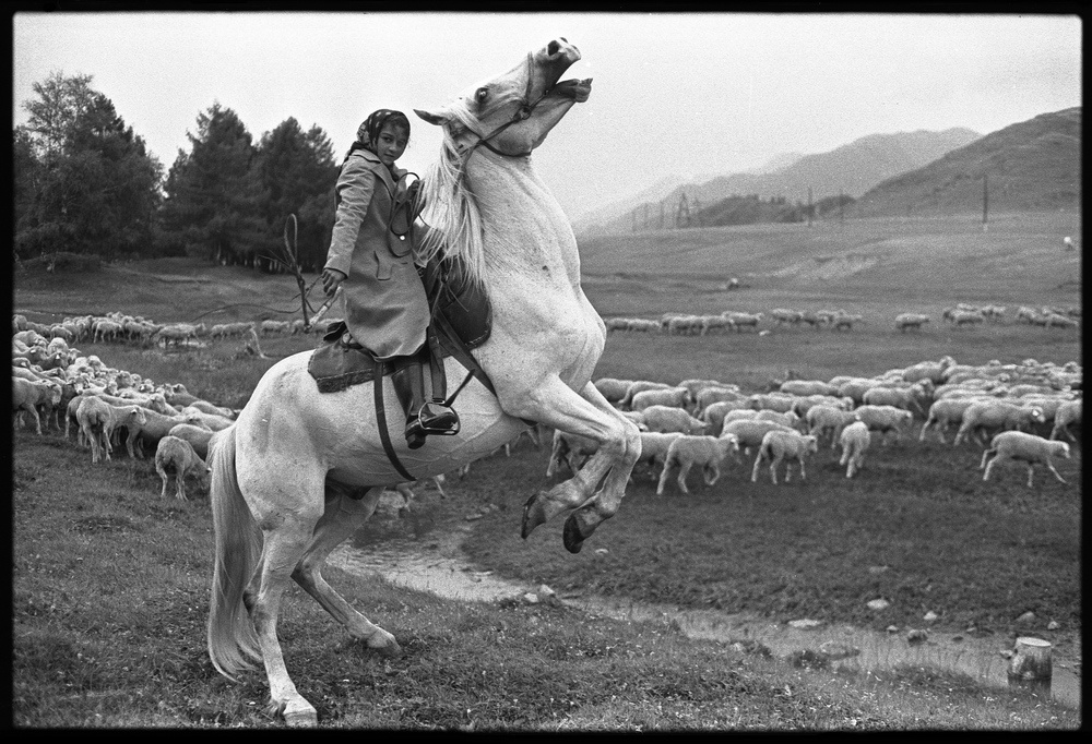 «Цыганочка, пасущая овец», 30 июля 1980, Горно-Алтайская АО, Онгудайский р-н. Выставки&nbsp;«Дети»,&nbsp;«По коням!»&nbsp;и «Пастухи» с этой фотографией.