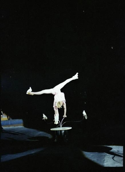 Последнее представление в старом здании цирка на Цветном бульваре, 13 августа 1985, г. Москва