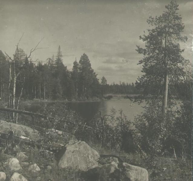 Север. Лес на реке Ковда, 1926 - 1927, Мурманская губ.. 1 августа 1927 года Мурманская губерния преобразована в Мурманский округ и включена в состав Ленинградской области.
