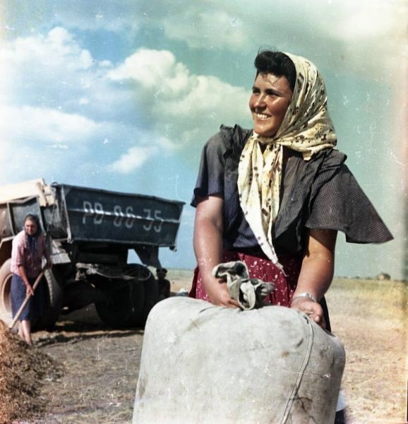Женя Александрова. Колхозница на уборке, 1950-е, Ростовская обл.