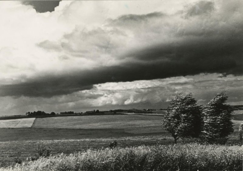 Перед грозой, 1954 год. Выставки&nbsp;«Ветер крепчает» и&nbsp;&nbsp;«Одиночество неба» с этой фотографией.