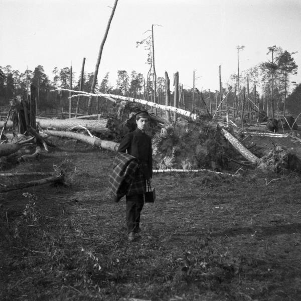 «Мотя среди поваленного ураганом леса в Сокольниках», 1904 год, г. Москва