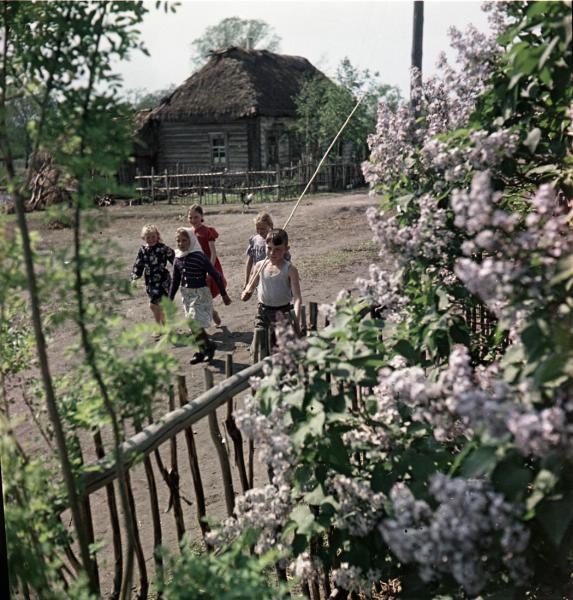Ребята отправляются на рыбалку, 1957 год, Тамбовская обл., колхоз «Коминтерн»