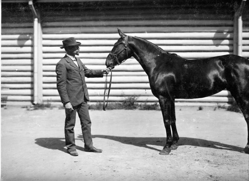 Лошадь Крылатая, июнь 1903